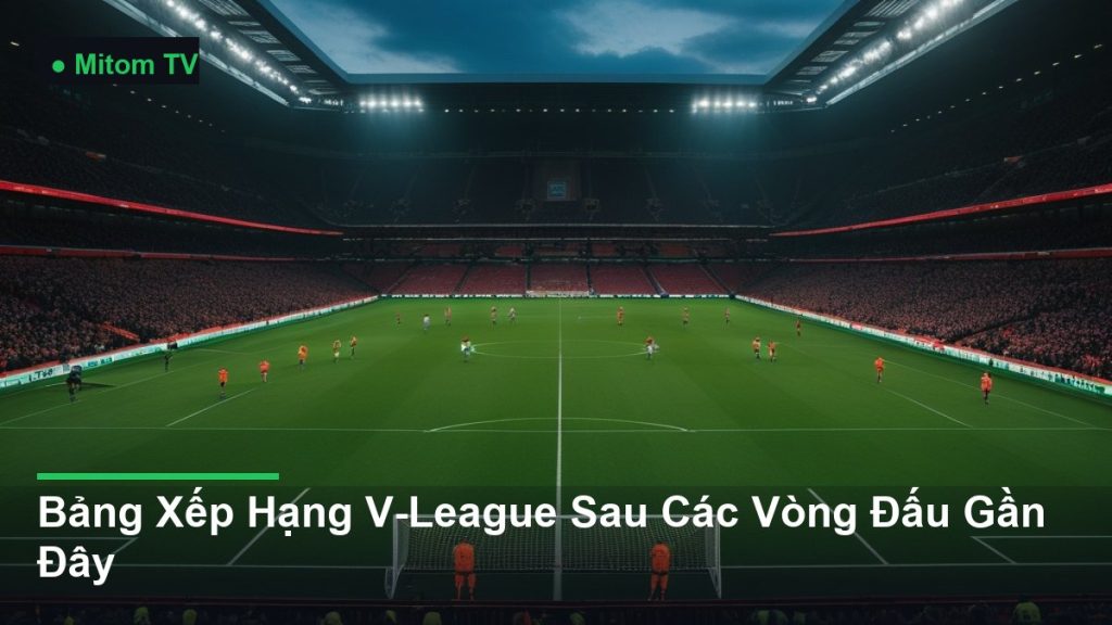 toàn cảnh sân vận động trong một trận đấu - Bảng Xếp Hạng V-League Sau Các Vòng Đấu Gần Đây