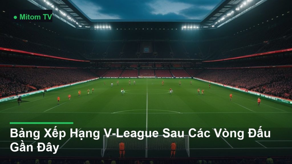 toàn cảnh sân vận động trong một trận đấu - Bảng Xếp Hạng V-League Sau Các Vòng Đấu Gần Đây