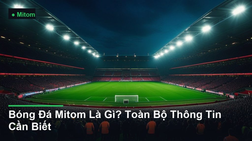 sân vận động bóng đá về đêm dưới ánh đèn pha - Bóng Đá Mitom Là Gì? Toàn Bộ Thông Tin Cần Biết