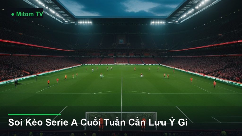 toàn cảnh sân vận động trong một trận đấu - Soi Kèo Serie A Cuối Tuần Cần Lưu Ý Gì