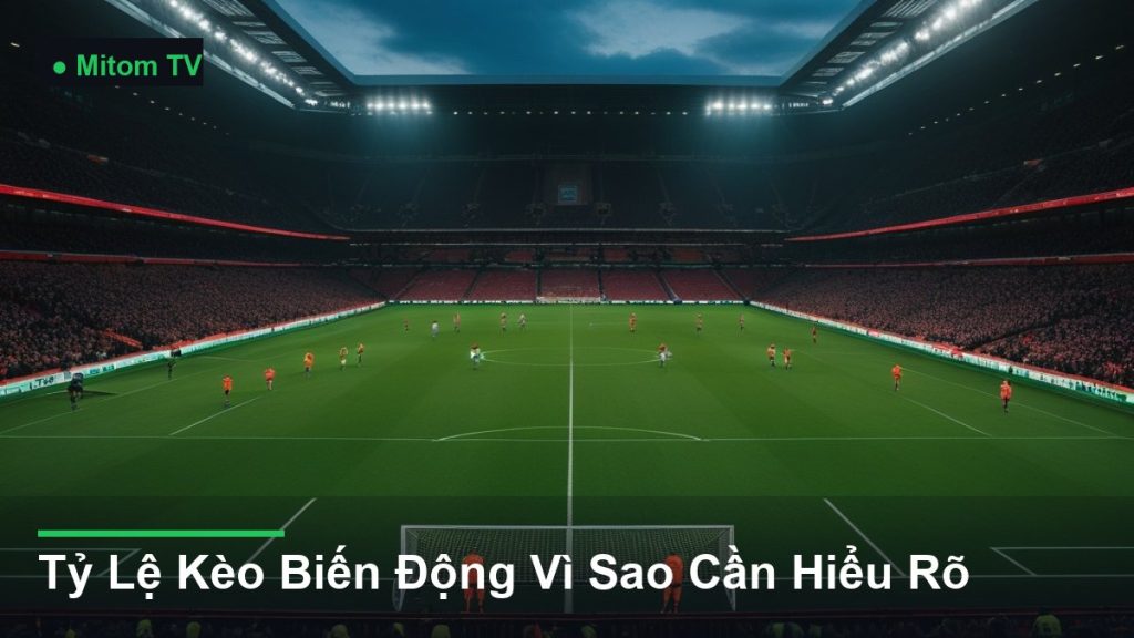 toàn cảnh sân vận động trong một trận đấu - Tỷ Lệ Kèo Biến Động Vì Sao Cần Hiểu Rõ