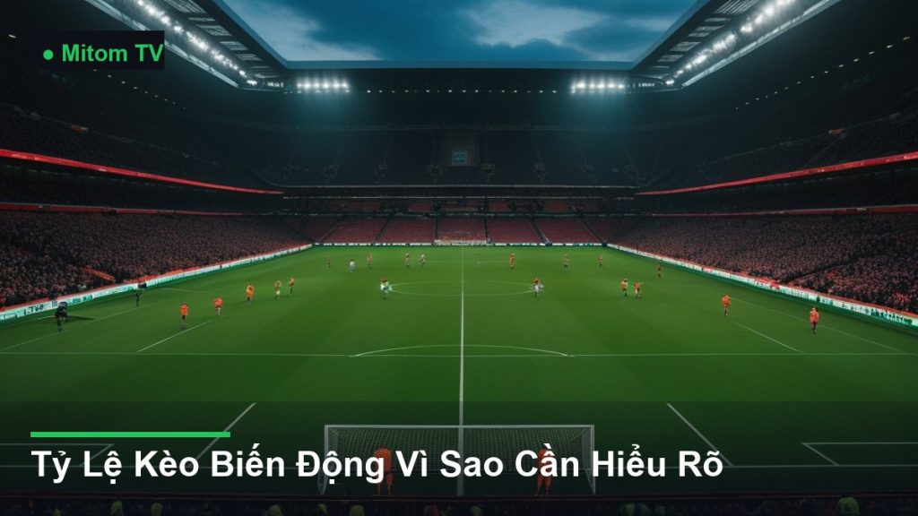 toàn cảnh sân vận động trong một trận đấu - Tỷ Lệ Kèo Biến Động Vì Sao Cần Hiểu Rõ